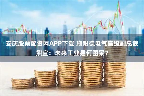 安庆股票配资网APP下载 施耐德电气高级副总裁熊宜：未来工业是何图景？