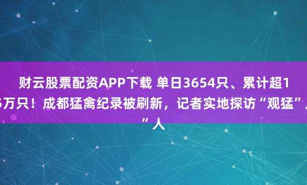 财云股票配资APP下载 单日3654只、累计超1.5万只！成都猛禽纪录被刷新，记者实地探访“观猛”人